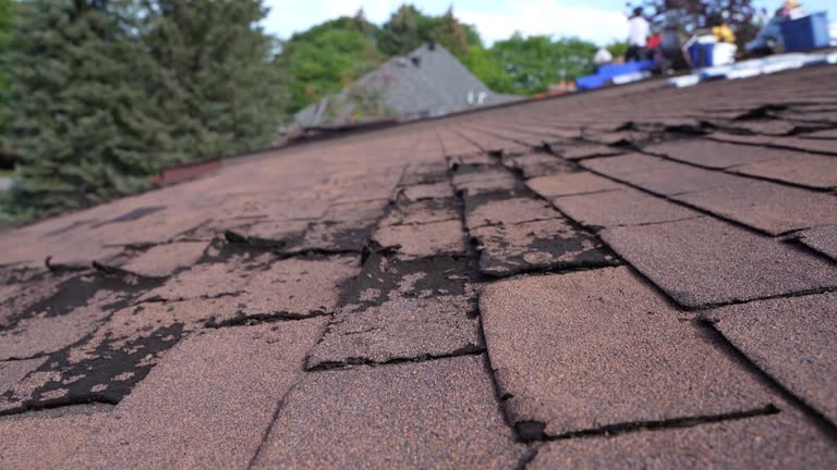 Garden Grove, CA Roofing Services Company